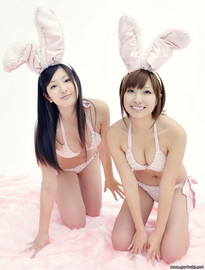 Новая порода японских кроликов