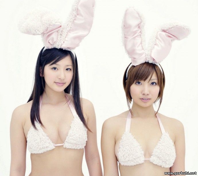 Новая порода японских кроликов