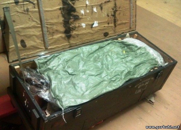 ERROR PICTURES - Эстониш почта была шокирована такой посылкой