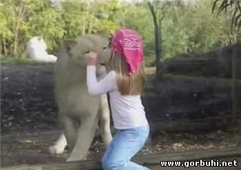 кис-кис, мур-мур