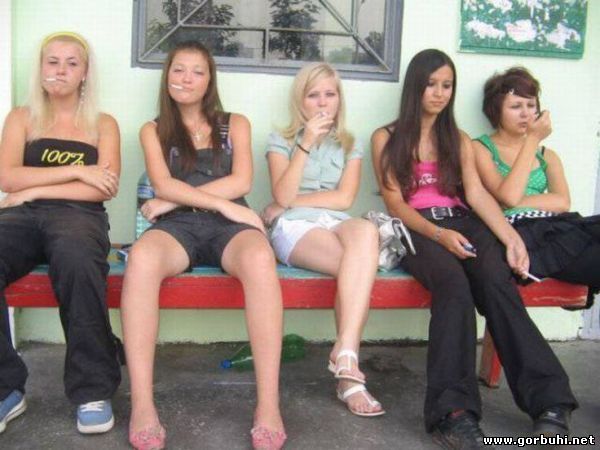 Првинциалочки