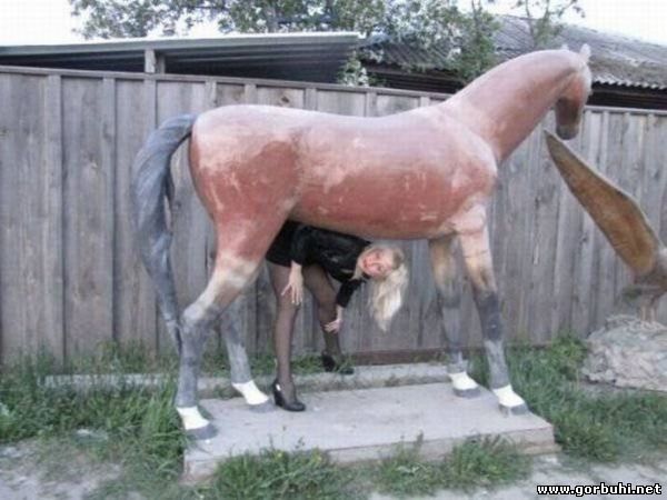 Првинциалочки
