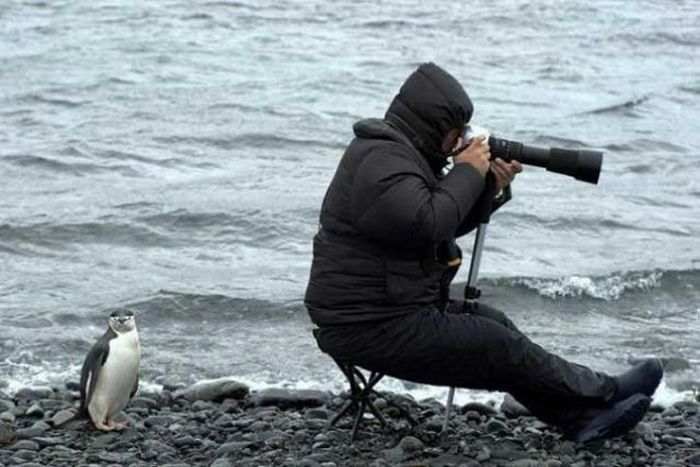 Казусы с фототехникой