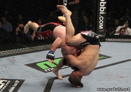 Отборная хохма от Mixed Martial Arts (MMA)