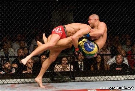 Отборная хохма от Mixed Martial Arts (MMA)