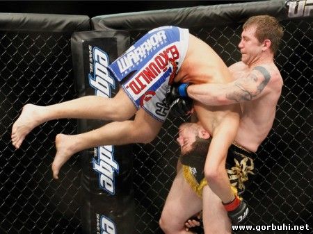 Отборная хохма от Mixed Martial Arts (MMA)