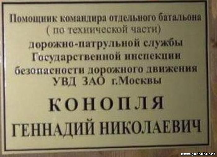 Наша фамилия - наша сущность