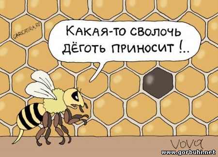 Малость улыбнемся - подборка карикатур